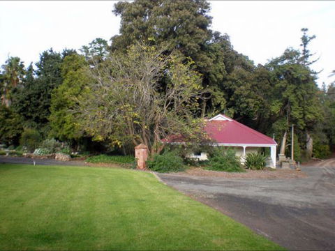 Brown's House Bed & Breakfast - Tourism Cairns 7