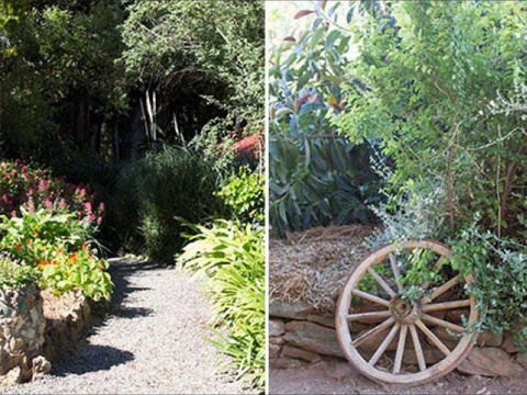 Brown's House Bed & Breakfast - Tourism Cairns 8