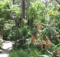 Dunns Creek Downs Nature Stay - Tourism Cairns