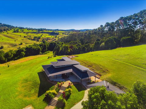 Hinterland Harmony - Tourism Cairns 8