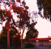 Murray Bridge Central Olympic Motel and Cottages - Tourism Cairns