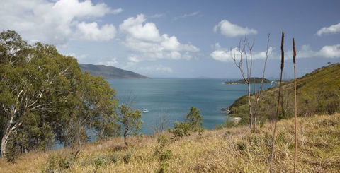 Molle Island National Park (Whitsundays National Park) Camping Ground - Tourism Cairns 1