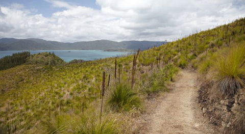 Molle Island National Park (Whitsundays National Park) Camping Ground - Tourism Cairns 2