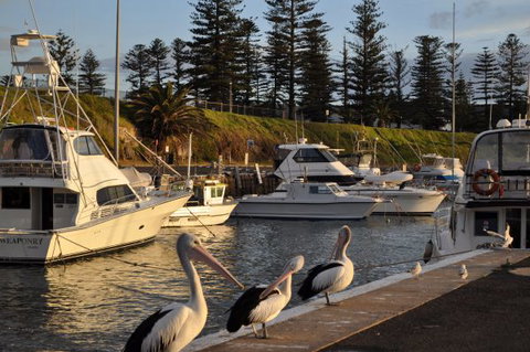 Nautica Accommodation Gerringong - Tourism Cairns 2