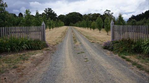Oakhill Cottage - Tourism Cairns 7