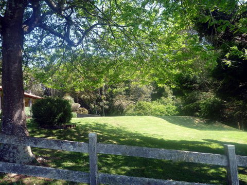 Ridgetop Hideaway - Tourism Cairns 3