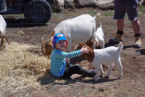 Yalooka Farm - Tourism Cairns 3