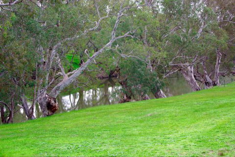Yalooka Farm - Tourism Cairns 4