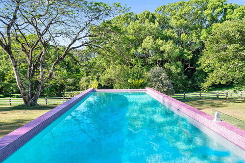 Bellbird - Tourism Cairns 1