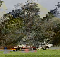 Boronia Farm - Tourism Cairns