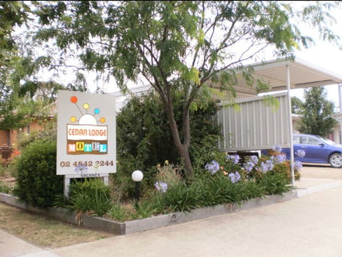Cedar Lodge Motel - Tourism Cairns 0