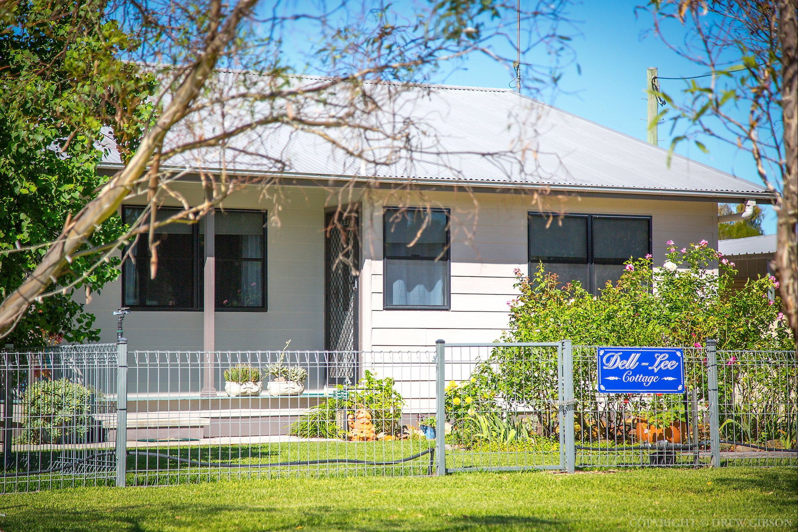 Dyrring NSW Tourism Cairns