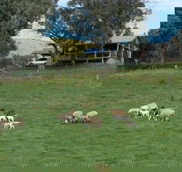 Gaddleen Grove Cottages - Tourism Cairns