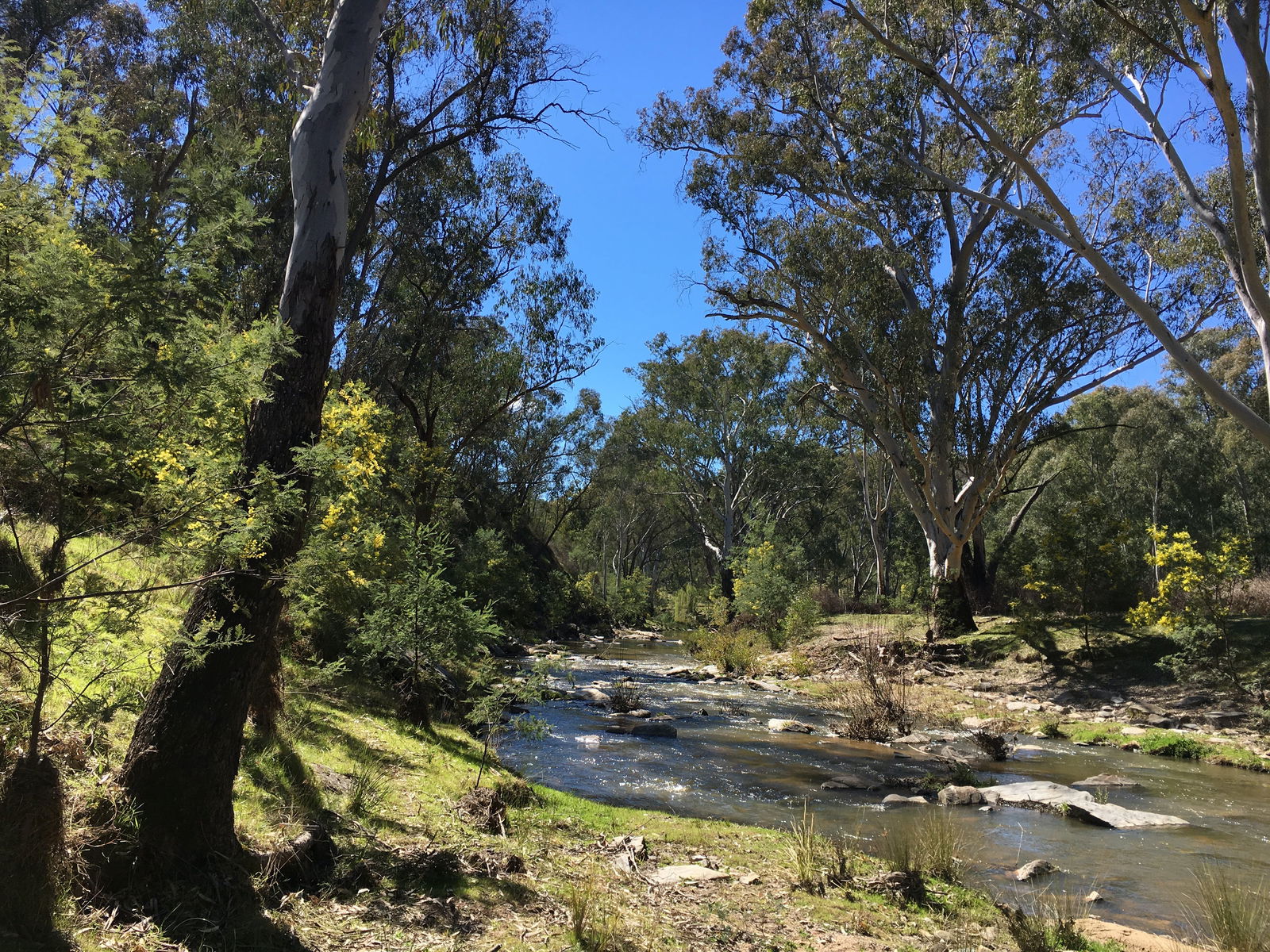 Mount Adrah NSW Tourism Cairns
