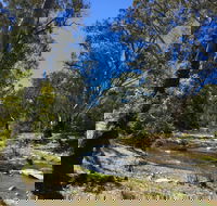 Highfield Farm and Woodland Bush Campsites - Tourism Cairns