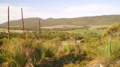Nyroca Campsite & Group Accommodation - Tourism Cairns 0