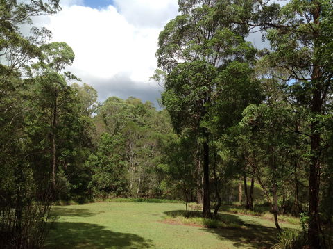 Maleny Country Cottages - Tourism Cairns 2