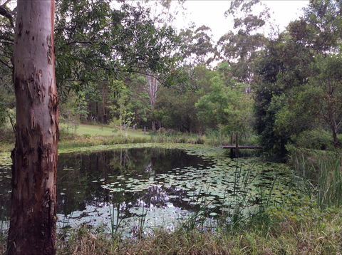 Maleny Country Cottages - Tourism Cairns 3