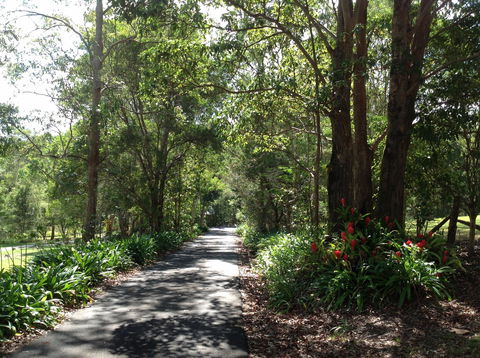 Maleny Country Cottages - Tourism Cairns 8