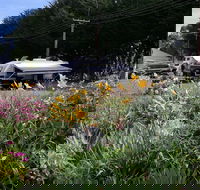 Millicent Showground RV Park - Tourism Cairns