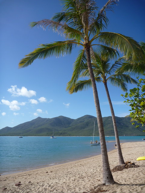 Montes Reef Resort - Tourism Cairns 5