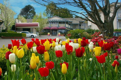 Nesuto Leura Gardens Hotel - Tourism Cairns 0