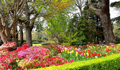 Nesuto Leura Gardens Hotel - Tourism Cairns 9