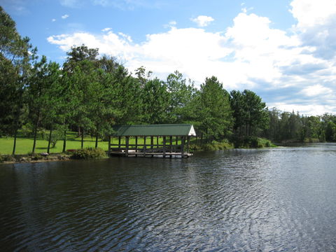 Obadiah Country Cottages - Tourism Cairns 8