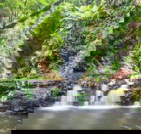 O'Reilly's Rainforest Retreat - Tourism Cairns