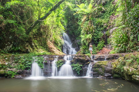 O'Reilly's Rainforest Retreat - Tourism Cairns 0