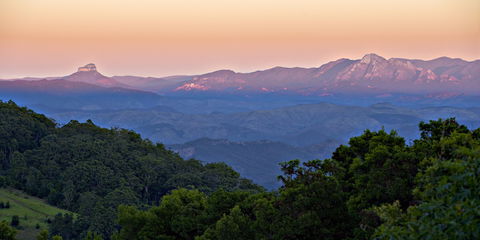 O'Reilly's Rainforest Retreat - Tourism Cairns 1