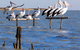 Pelican Perch Retreat - thumb 0