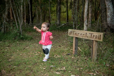 Telegraph Retreat Cottages - Tourism Cairns 4