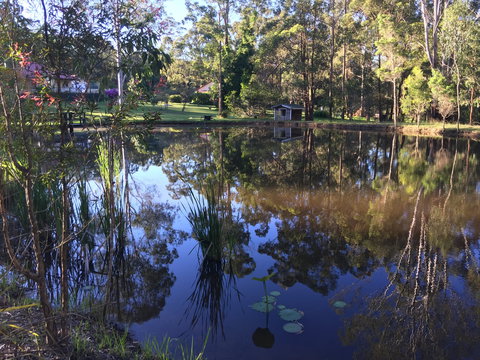 Telegraph Retreat Cottages - Tourism Cairns 8