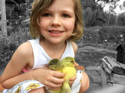 Telegraph Retreat Cottages - Tourism Cairns 9