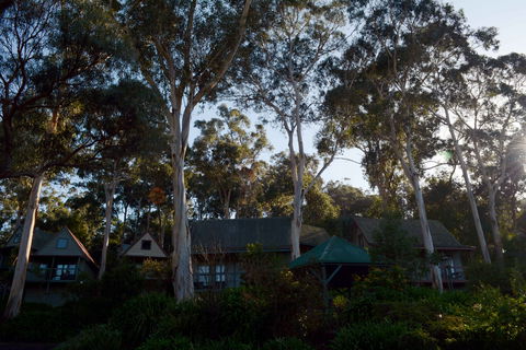 The Great Ocean Road Cottages And Backpackers - Tourism Cairns 2