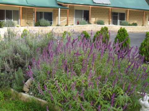 The Malone's Bed And Breakfast Guest Rooms - Tourism Cairns 2
