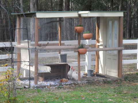 The Malone's Bed And Breakfast Guest Rooms - Tourism Cairns 4
