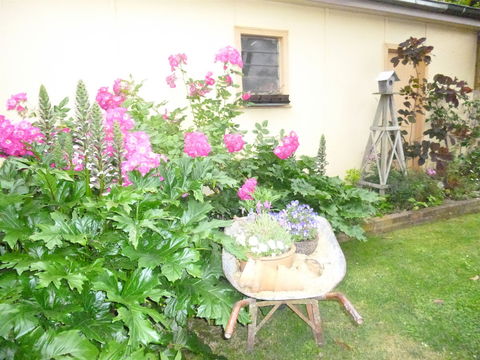 Aggies Bed And Breakfast - Tourism Cairns 2