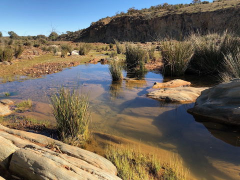 Almerta Station - Tourism Cairns 7