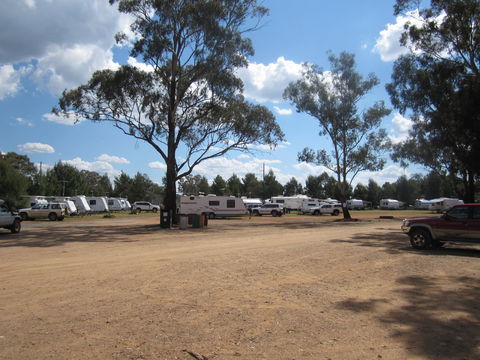 Ariah Park Camping Ground - Tourism Cairns 4