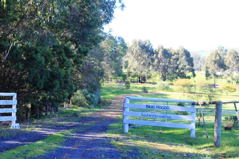 Blue House Bed And Breakfast - Tourism Cairns 3