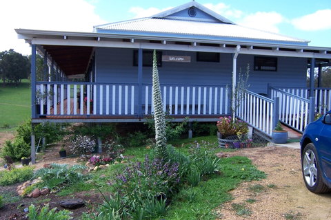 Blue House Bed And Breakfast - Tourism Cairns 4