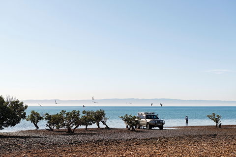 Camping At Point Lowly & Fitzgerald Bay - Tourism Cairns 0