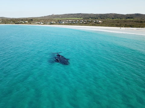 Cheynes Beach Caravan Park - Tourism Cairns 3