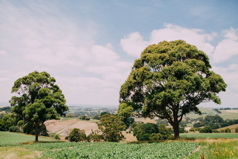 Kardella Country Homestead - Tourism Cairns 9
