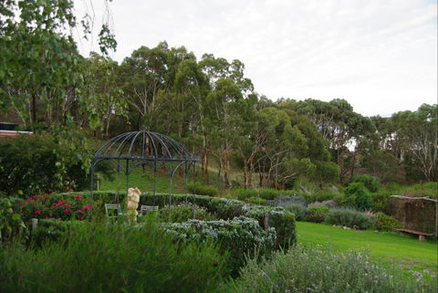 Pear Tree Hollow - Tourism Cairns 5