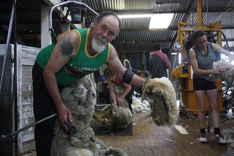 Rabbiters Hut - Tourism Cairns 5