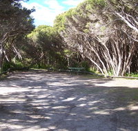 3 Mile Bend Campground - Beachport Conservation Park - Tourism Cairns