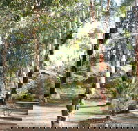 Bald Hill  Camp at Avon Valley National Park - Tourism Cairns